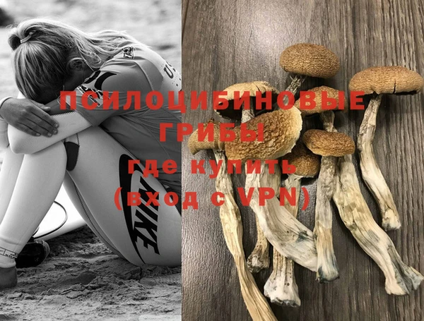 дурь Баксан